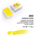 Cadmium lemon_203.jpg
