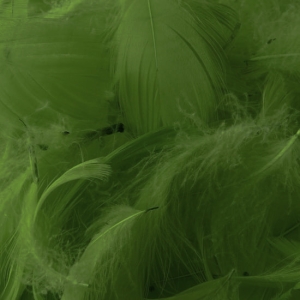 PIÓRA 5-12cm,10g zielone  Dp Craft  CEPI-014