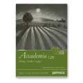 Blok szkicownik Accademia GAMMA 120g, 25 ark. - A4  1.png
