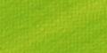 FARBA OLEJ MADISI 40ml-562 YELLOWISH GREEN