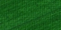 FARBA OLEJ MADISI 40ml-568 SAP GREEN