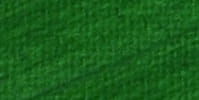 FARBA OLEJ MADISI 170ml -568 SAP GREEN